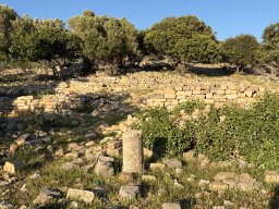 202605-i-Aphrodisias